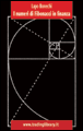 I numeri di Fibonacci in finanza